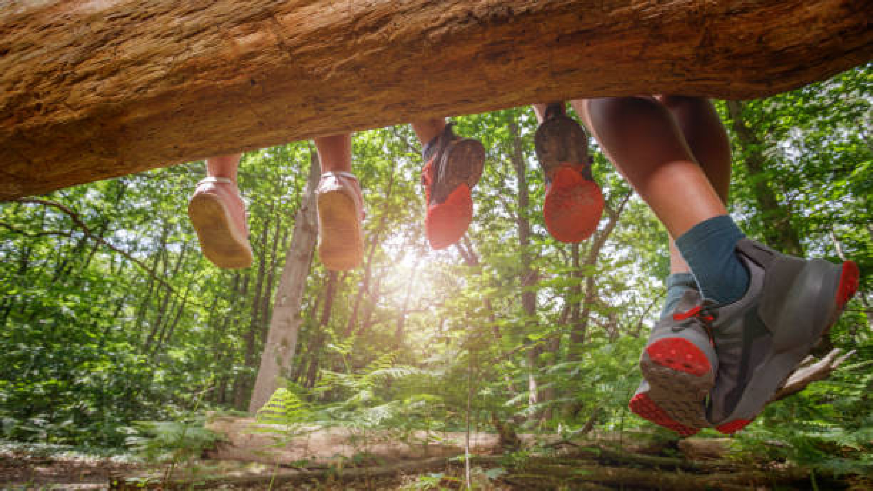 Four pairs of legs dangle from a log, their colorful shoes contrasting with the lush green forest backdrop as sunlight filters through the trees